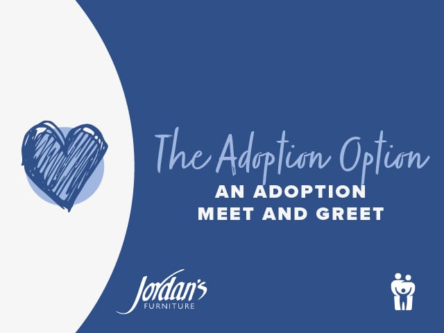 adoption option 10123-web - cover-100