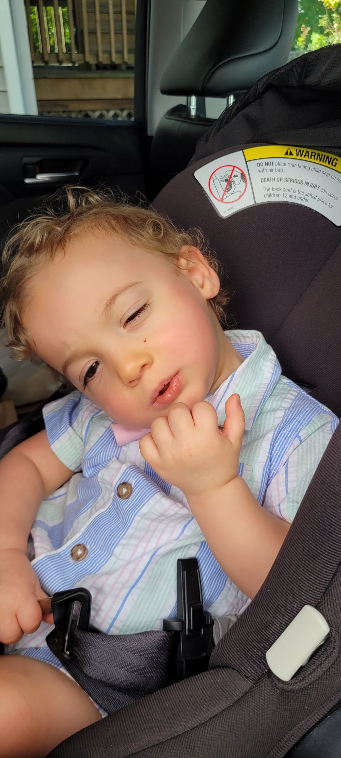 Image of Braxton 